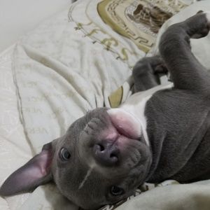 Meet your Posher, Mariah